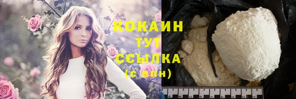 сатива Куйбышев