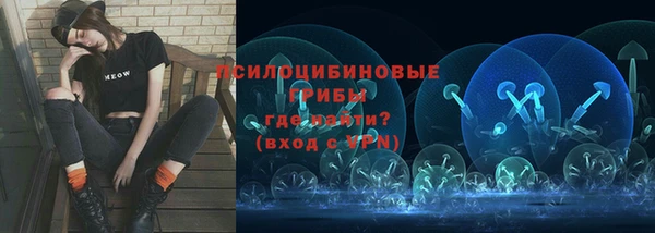 сатива Куйбышев