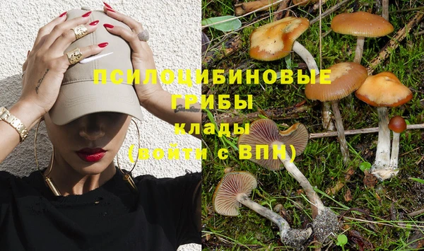 сатива Куйбышев