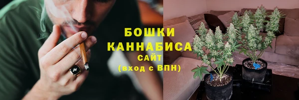 сатива Куйбышев