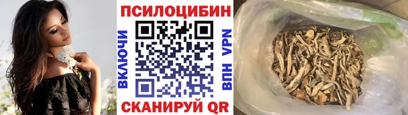 Галлюциногенные грибы Cubensis  Купить закладки  Плёс 